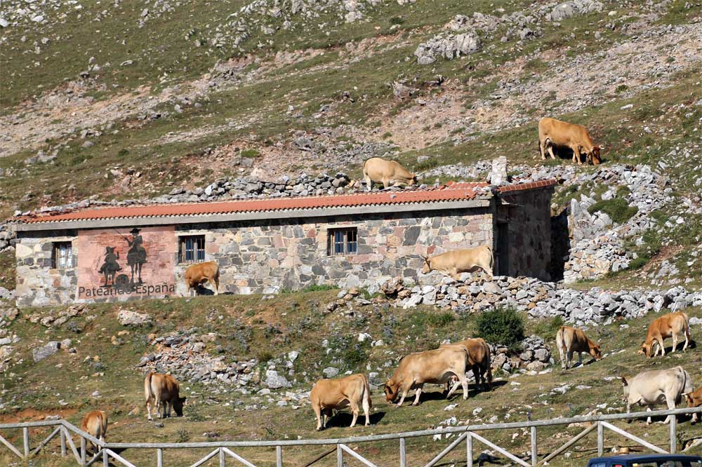 Puerto de Montaña El Angliru o L'Angliru